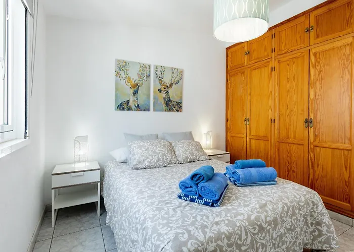 Veracruz Sunrises, Americas